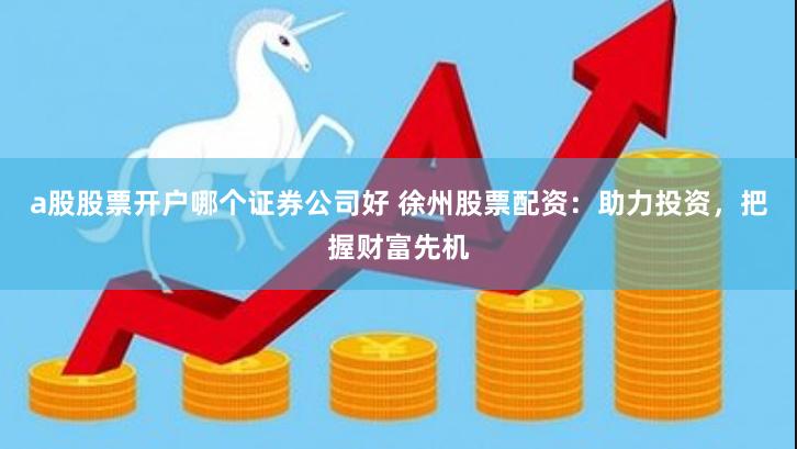 a股股票开户哪个证券公司好 徐州股票配资：助力投资，把握财富先机